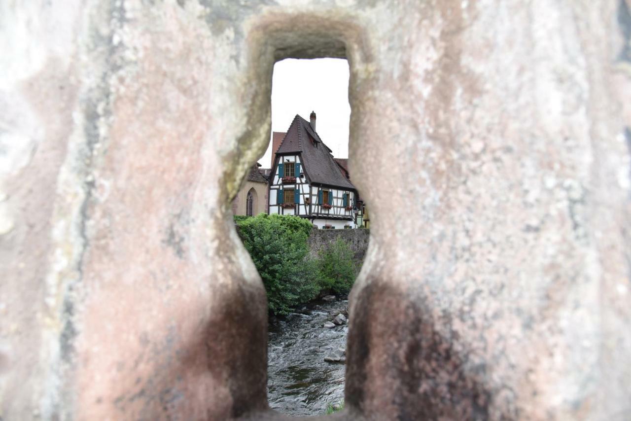 Le Cerisier Villa Kaysersberg-Vignoble Buitenkant foto