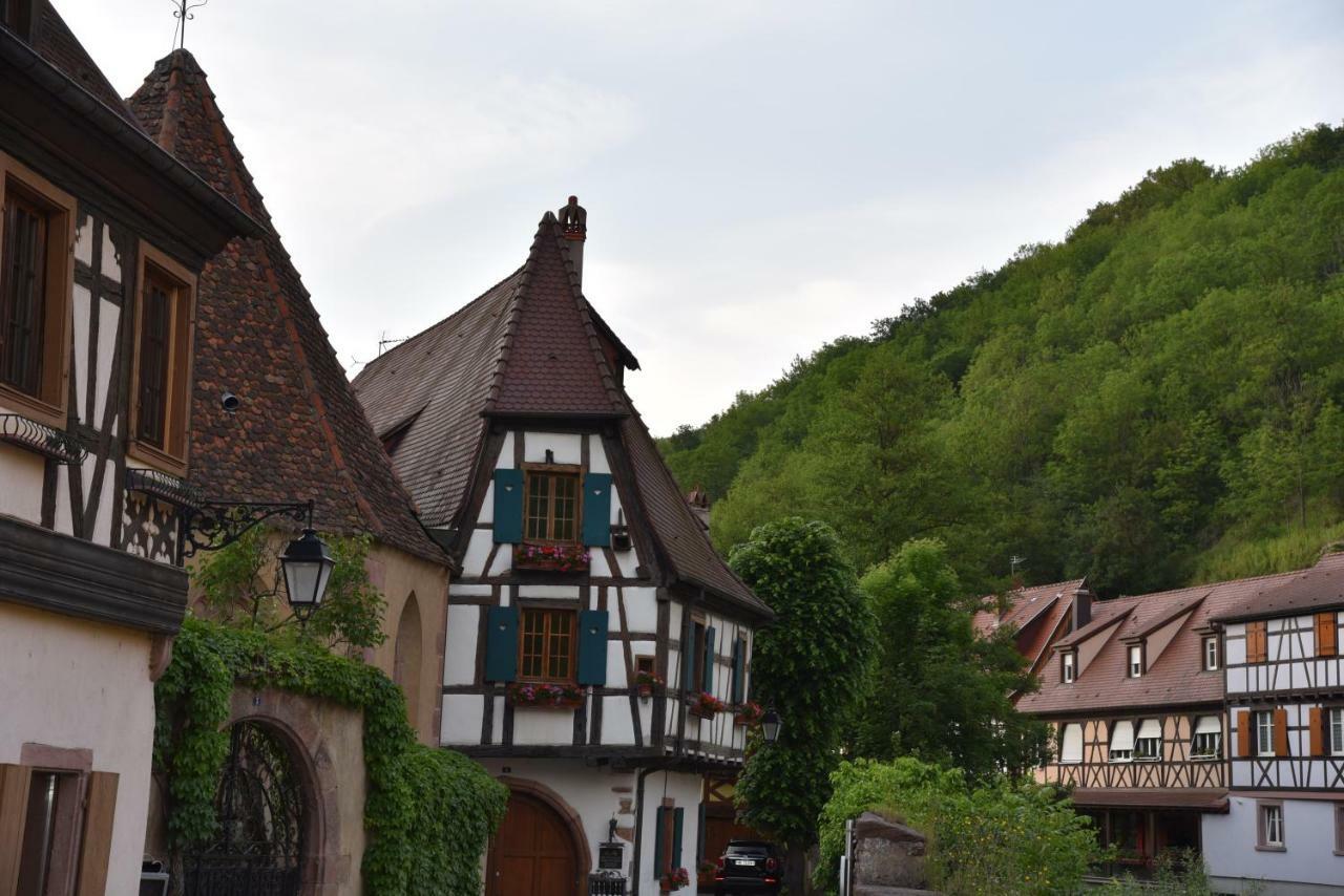 Le Cerisier Villa Kaysersberg-Vignoble Buitenkant foto