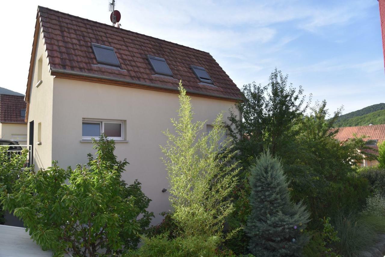 Le Cerisier Villa Kaysersberg-Vignoble Buitenkant foto