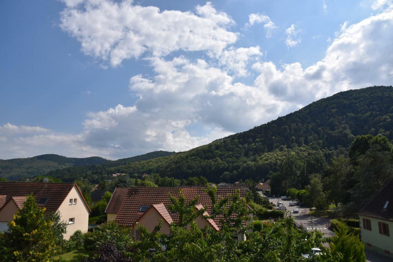 Le Cerisier Villa Kaysersberg-Vignoble Buitenkant foto