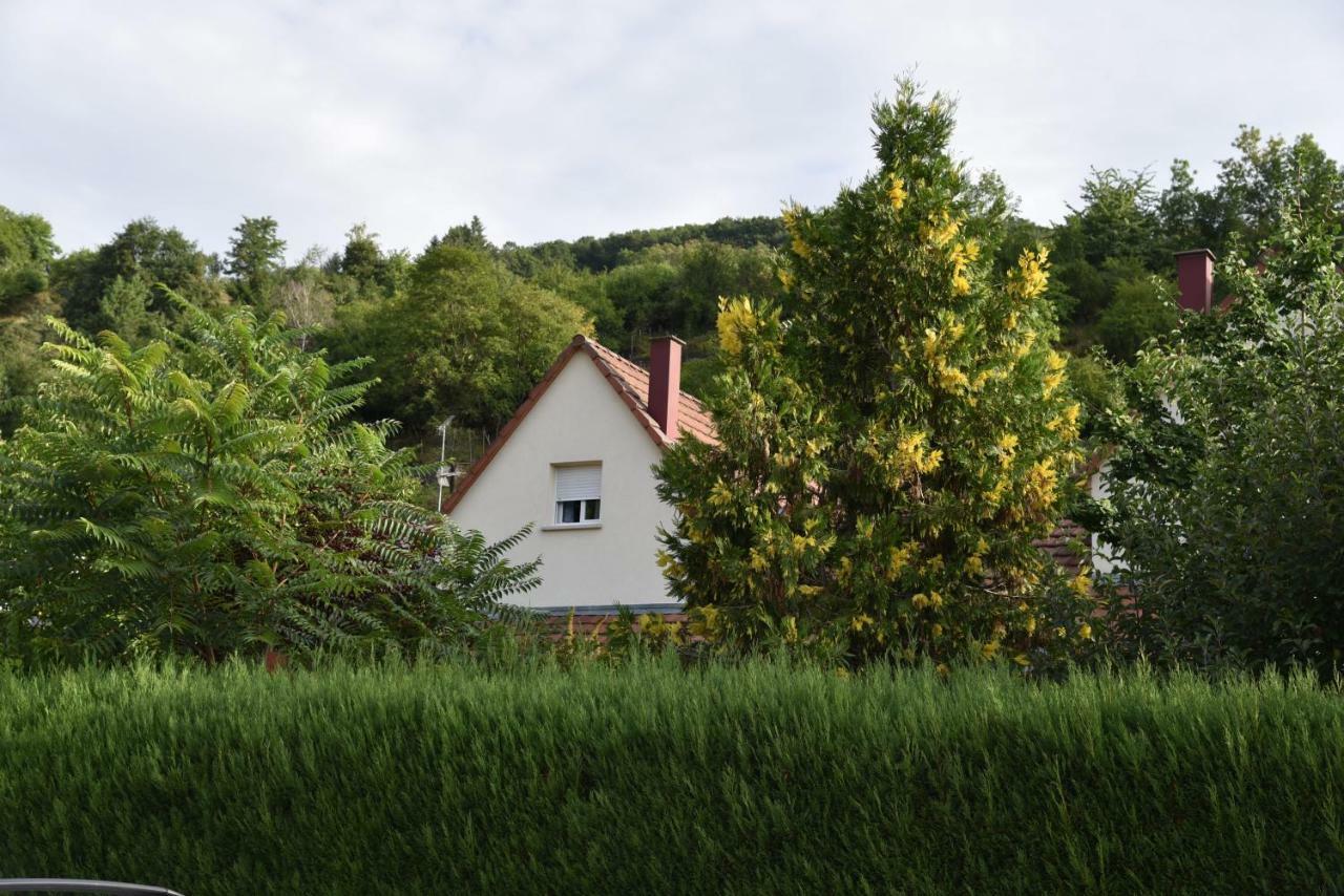 Le Cerisier Villa Kaysersberg-Vignoble Buitenkant foto