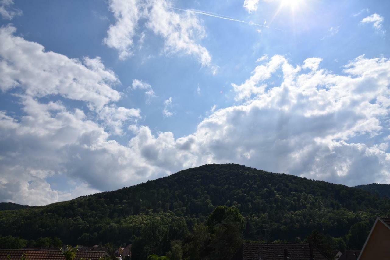 Le Cerisier Villa Kaysersberg-Vignoble Buitenkant foto